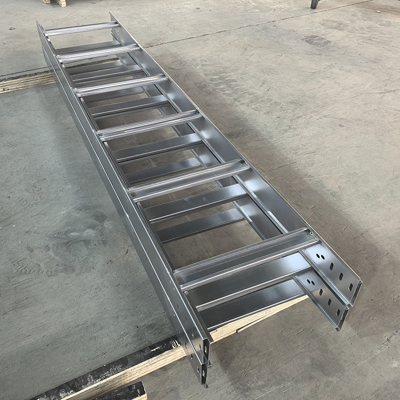 Indoor Outdoor Ladder Type Cable Tray With High Corrosion Resistance 50mm-200mm Height