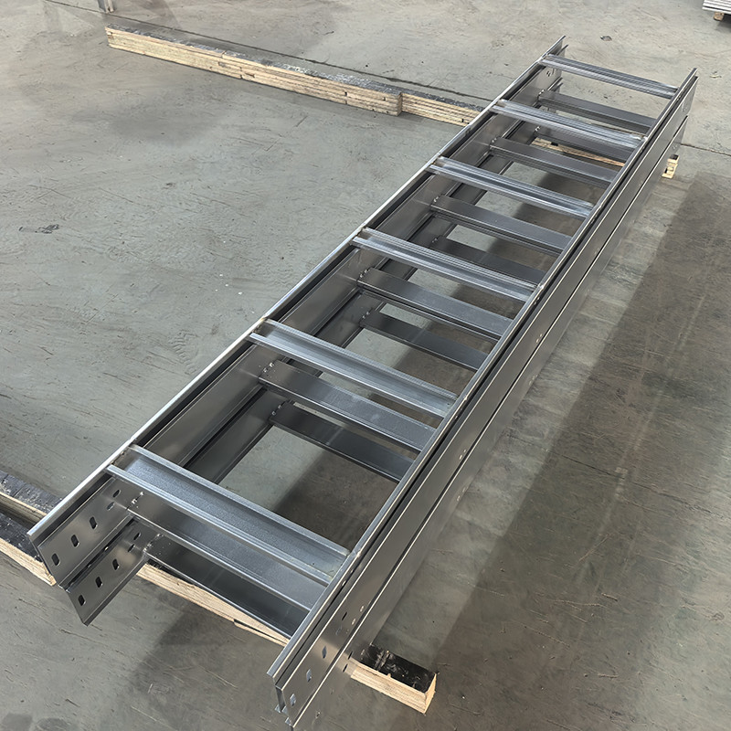 Indoor Outdoor Ladder Type Cable Tray With High Corrosion Resistance 50mm-200mm Height