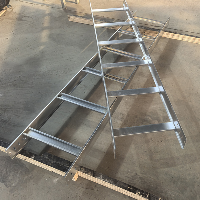Indoor Outdoor Ladder Type Cable Tray With High Corrosion Resistance 50mm-200mm Height
